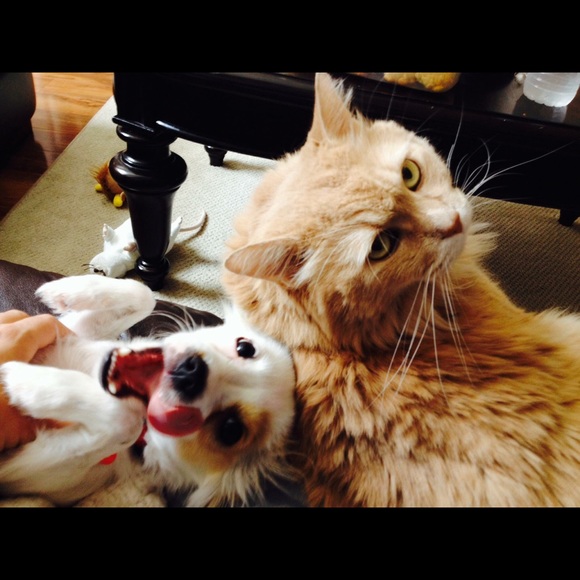 Suggested User 😀 - Picture 4 of 4